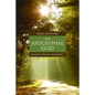 An Apocryphal God: Beyond Divine Maturity - Paperback