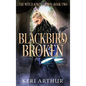 Blackbird Broken - Hardcover