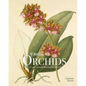Rhs Orchids - Hardcover
