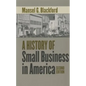 A History of Small Business in America - Paperback