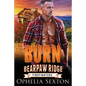 Burn - Paperback