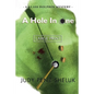 A Hole in One: A Glass Dolphin Mystery - LARGE PRINT EDITION - Paperback