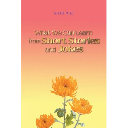 What We Can Learn From Short Stories And Jokes - Paperback