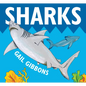Sharks - Board Book