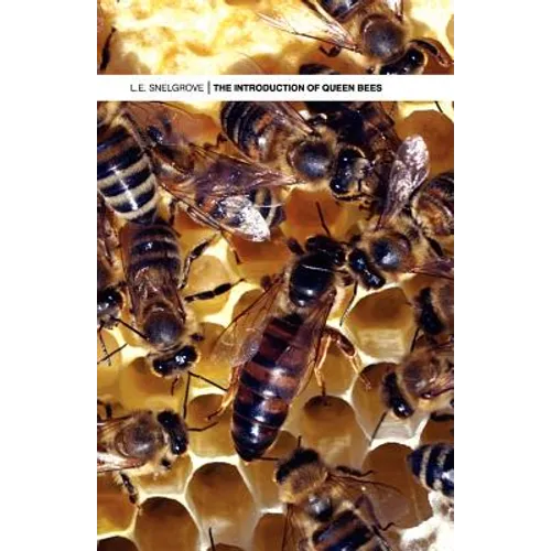 The Introduction of Queen Bees - Paperback
