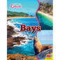 Bays - Library Binding
