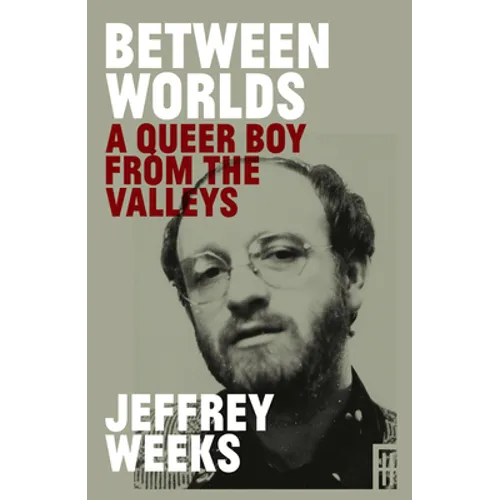 Between Worlds: A Queer Boy from the Valleys - Paperback