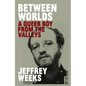 Between Worlds: A Queer Boy from the Valleys - Paperback