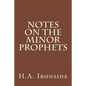 Notes On The Minor Prophets - Paperback
