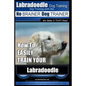 Labradoodle Training: Dog Training With the No BRAINER Dog TRAINER "We Make it That Easy" How to EASILY Train Your Labradoodle - Paperback