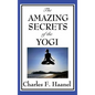 The Amazing Secrets of the Yogi - Hardcover