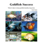 Goldfish Success: What it takes to keep goldfish healthy long-term - Paperback