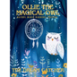 Ollie the Magical Owl: The Dream Catcher - Hardcover
