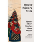 Queer Square Mile: Queer Short Stories from Wales - Paperback