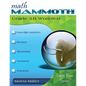 Math Mammoth Grade 3-B Worktext - Paperback