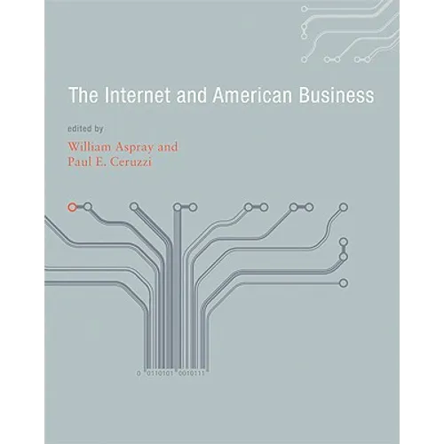 The Internet and American Business - Paperback