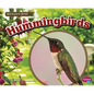 Hummingbirds - Hardcover