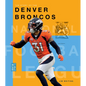 The Story of the Denver Broncos - Paperback