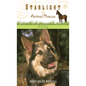 Mad Dog - Paperback