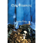 Elsie Dinsmore - Paperback