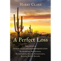 A Perfect Loss - Paperback