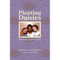 Planting Daisies - Paperback