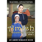 Amish Country Tours Book 2 - Paperback