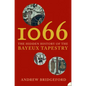 1066: The Hidden History of the Bayeux Tapestry - Paperback