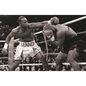 The Boxing Register: International Boxing Hall of Fame Official Record Book - Paperback