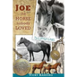 Joe -- the Horse Nobody Loved - Paperback